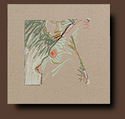029P